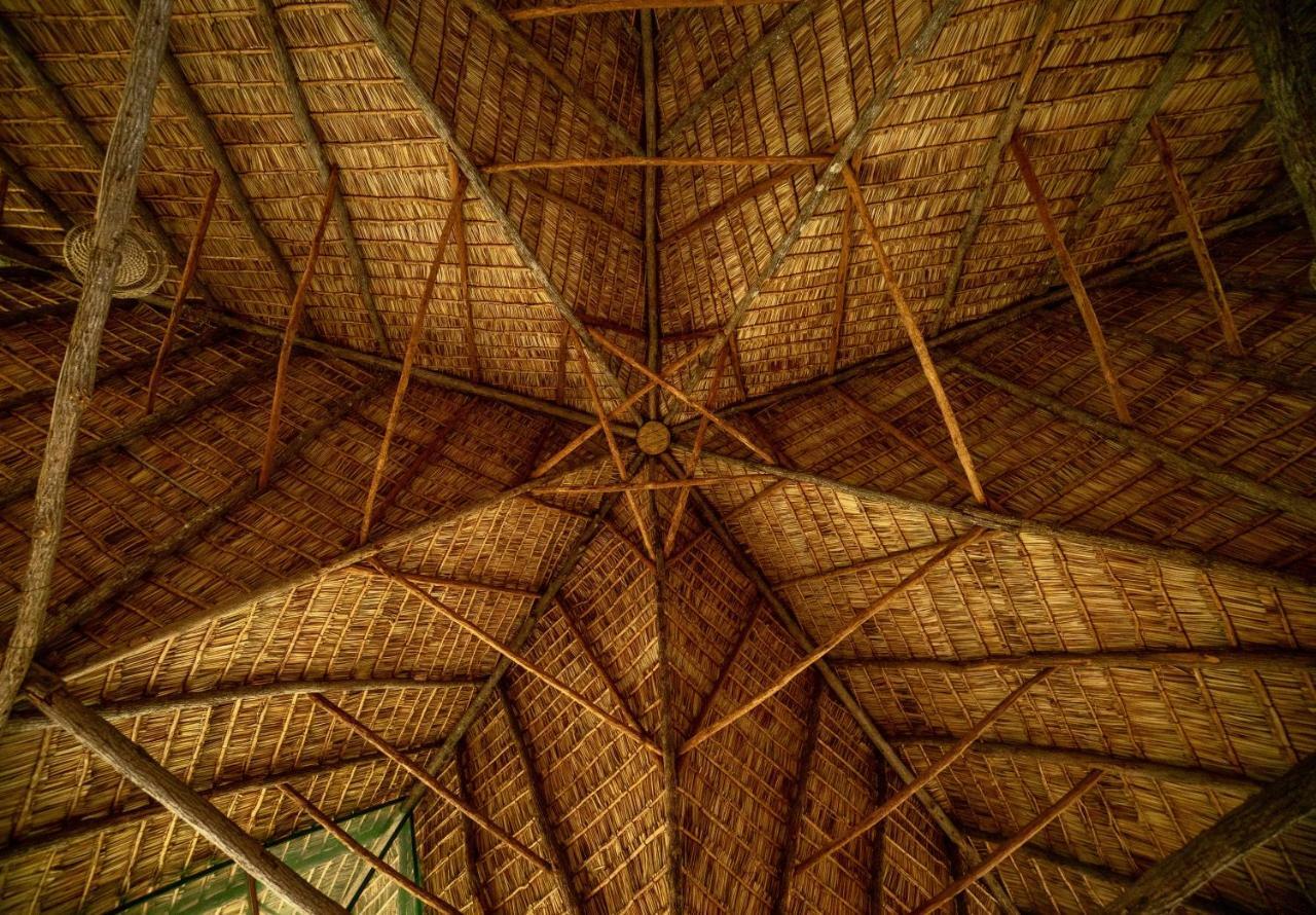 Turtle Cove Lodge And Yoga Shala Praia do Praia do Tofo Exteriér fotografie