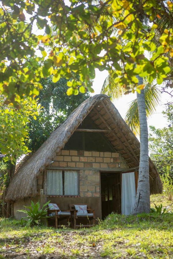 Turtle Cove Lodge And Yoga Shala Praia do Praia do Tofo Exteriér fotografie